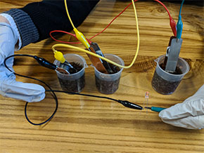 Cola Battery
