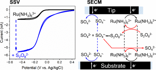 TOC graphic for "Investigation of the Electrocatalytic Reduction of Peroxydisulfate Using Scanning Electrochemical Microscopy"