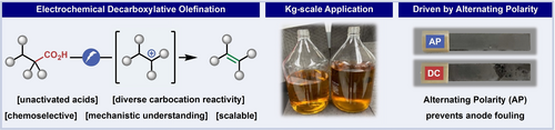 TOC graphic for "Scalable Electrochemical Decarboxylative Olefination Driven by Alternating Polarity"