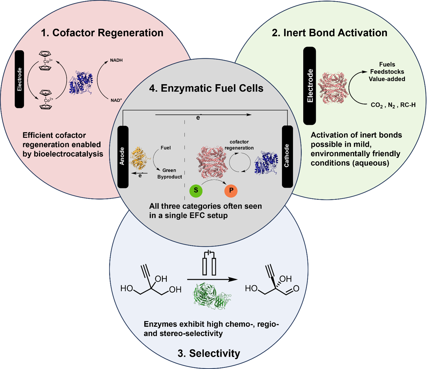 TOC graphic for "Bioelectrocatalysis for synthetic applications: Utilities and challenges"