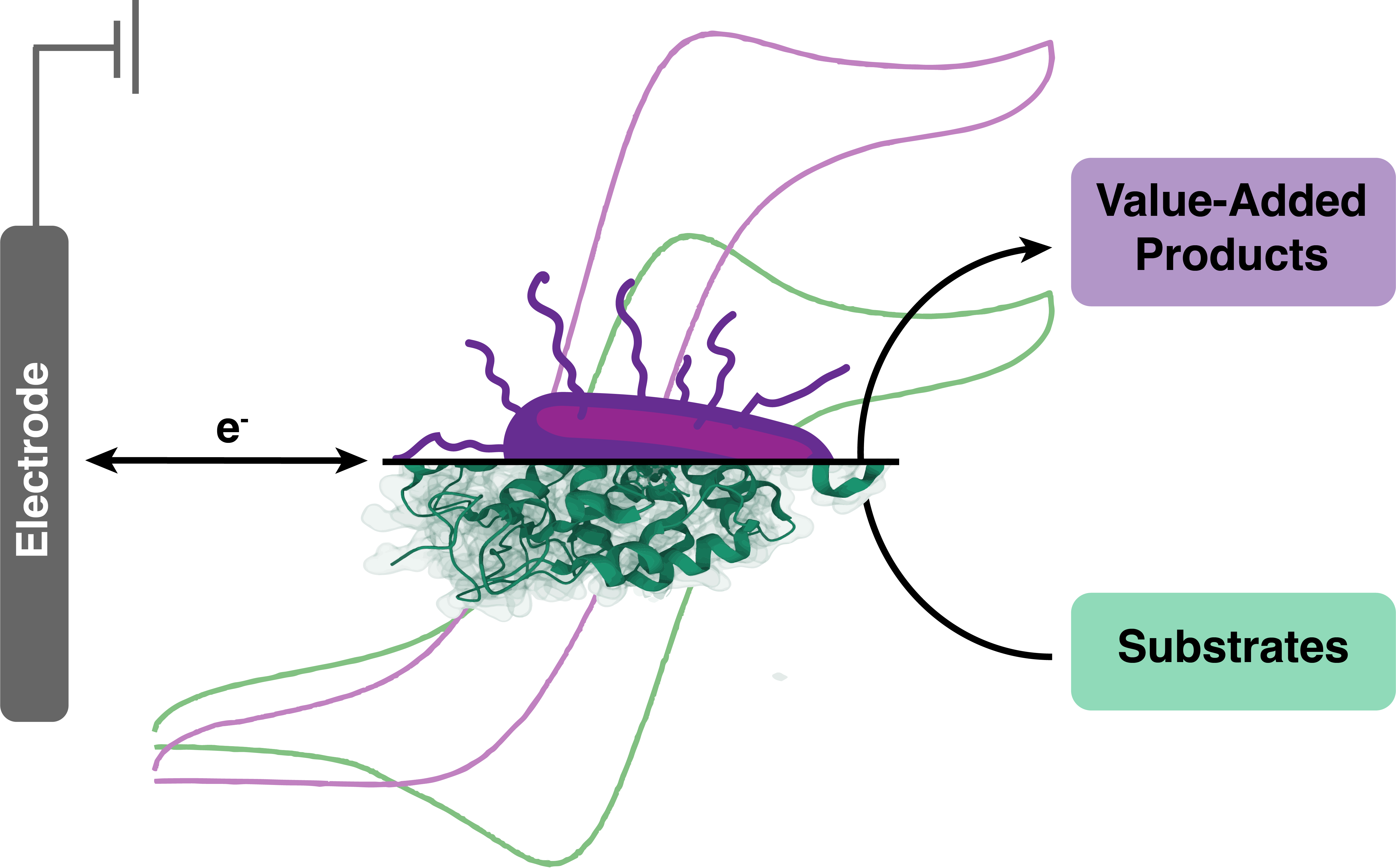 TOC graphic for "Bioelectrocatalytic Synthesis: Concepts and Applications"