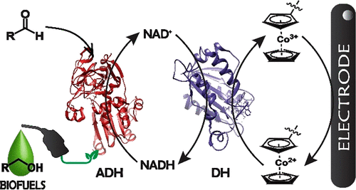 TOC for acscatal.9b00513