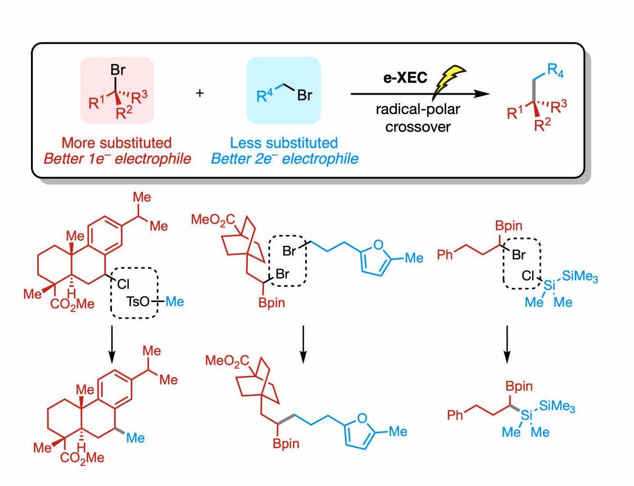 TOC graphic for Electrochemically driven cross-electrophile coupling of alkyl halides