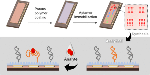 TOC graphic for "Developing Microelectrode Arrays for the Point-of-Care Multiplex Detection of Metabolites"