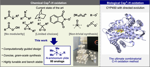 TOC graphic for jacs.1c03780