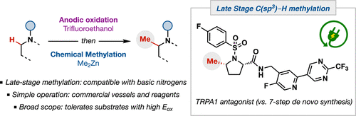 TOC graphic for jacs.1c09412