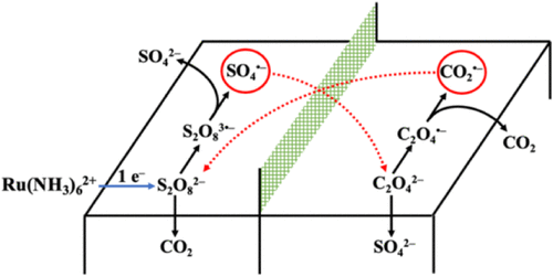 TOC graphic for "The Electrochemical Peroxydisulfate-Oxalate Autocatalytic Reaction"