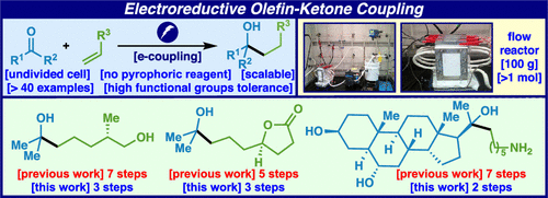 TOC for jacs.0c11214