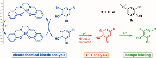 TOC graphic for "Mechanistic Insights into Electrocatalytic Carbon−Bromine Bond Cleavage in Polybrominated Phenols"