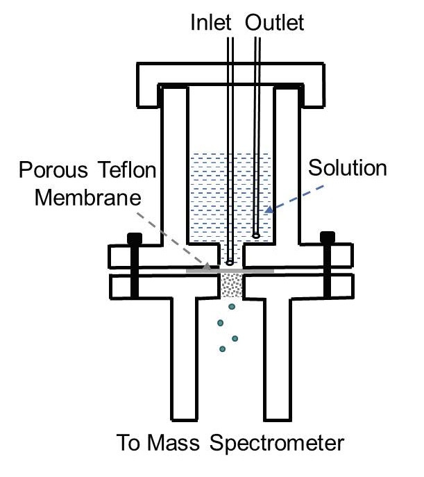 TOC graphic for "Nitrous oxide production via enzymatic nitroxyl from the nitrifying archaeon Nitrosopumilus maritimus"